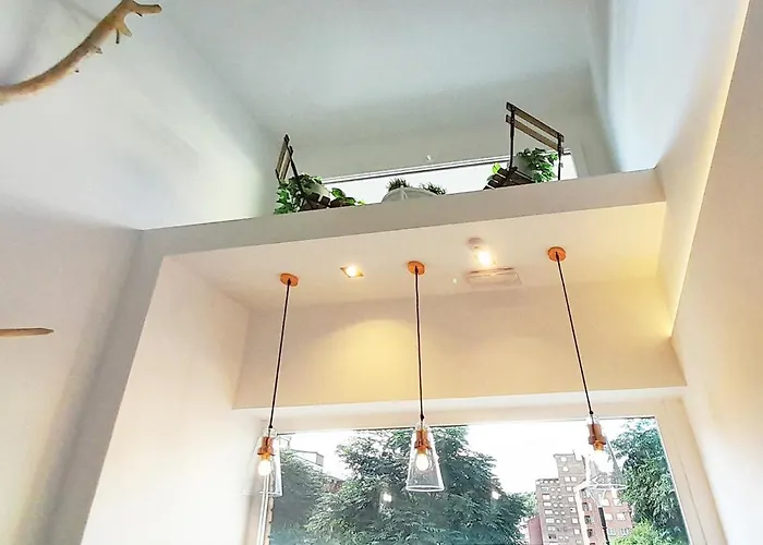 Mood - New & Special Μπιλμπάο